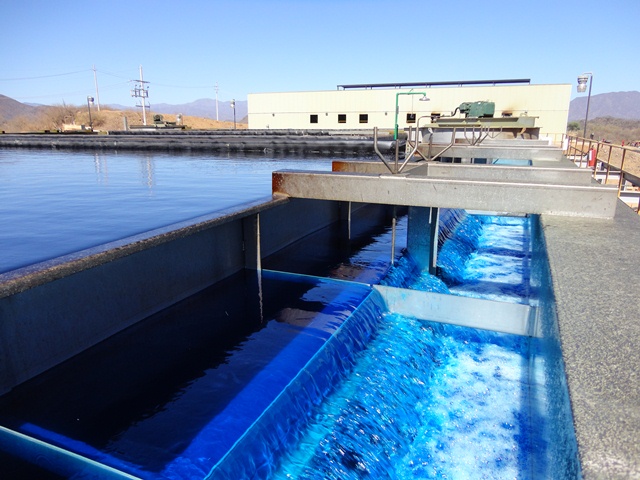 Preview of Solvent Extraction Reagents