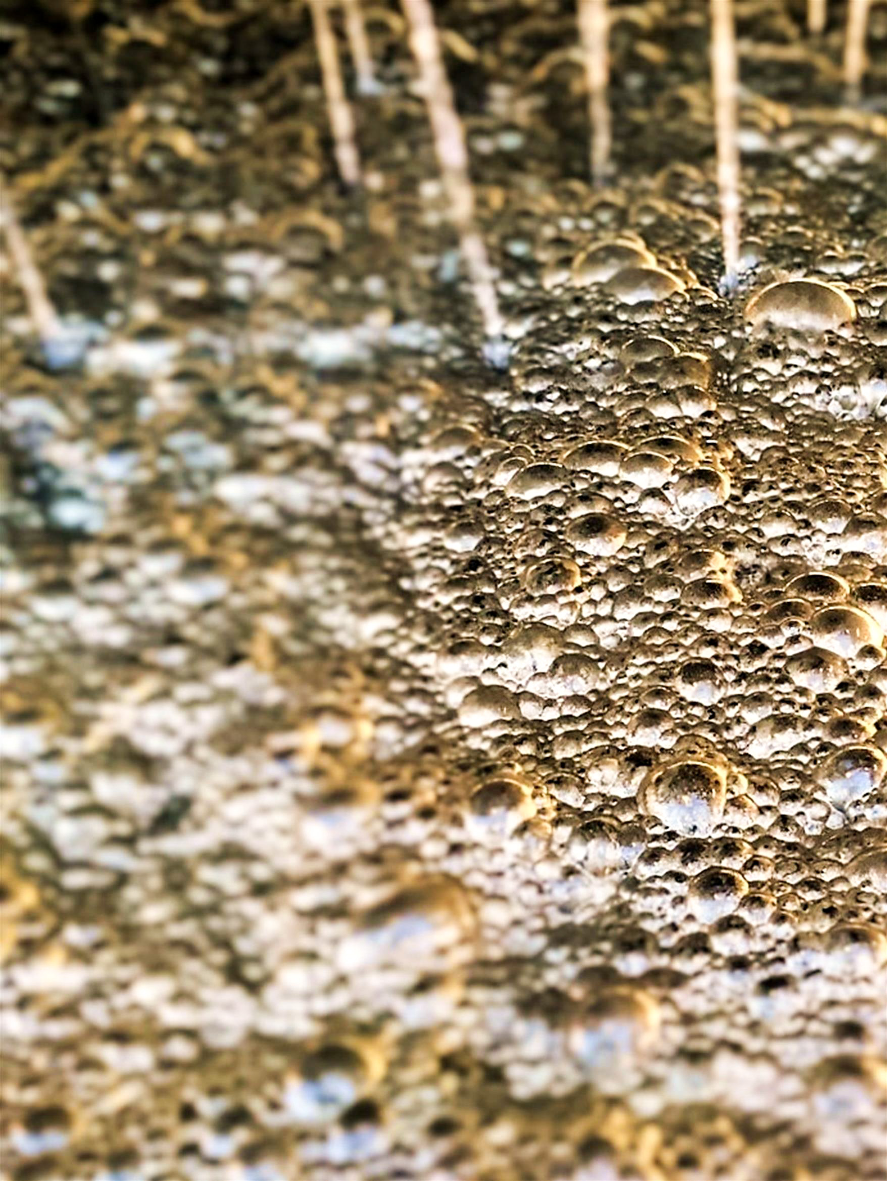 INTERFLOAT® FROTHERS - preview image